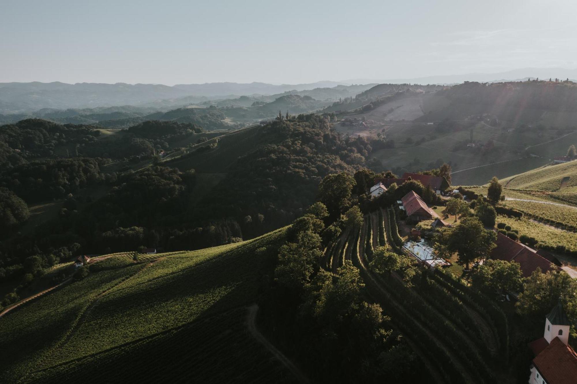 Vila Winzarei, Weingut Tement Berghausen Exteriér fotografie